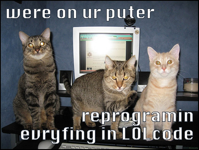 Cats coding!